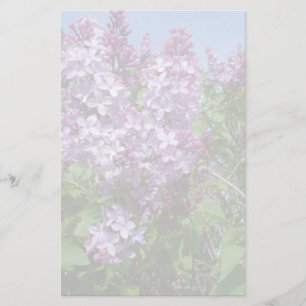 Papeterie Lilas pourpres Fade25