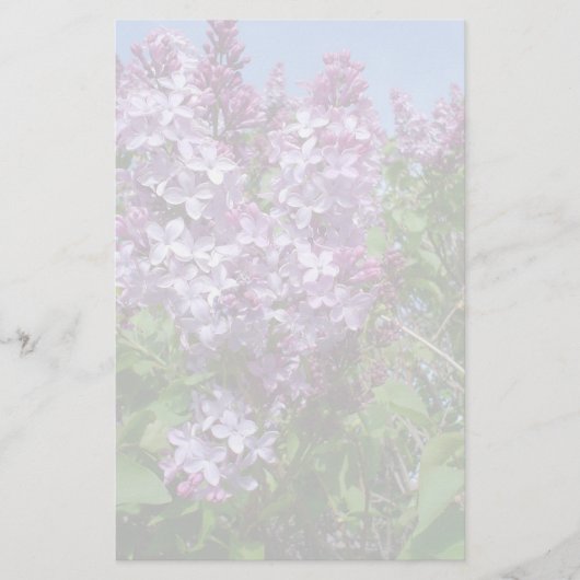 Papeterie Lilas pourpres Fade25 (Devant)