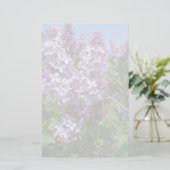 Papeterie Lilas pourpres Fade25 (Debout devant)