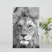 Papeterie Lion Blanc Noir (Debout devant)