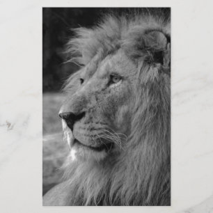 Papeterie Lion Noir & Blanc - Animal Sauvage