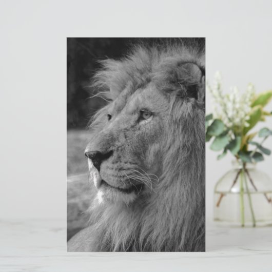 Papeterie Lion Noir & Blanc - Animal Sauvage (Debout devant)