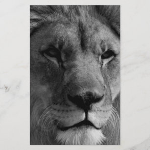 Papeterie Lion noir et blanc