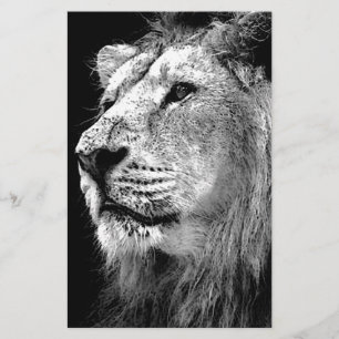 Papeterie Lion noir et blanc
