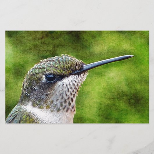 Papeterie Little Hummer (Devant)