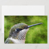 Papeterie Little Hummer (Devant / Derrière)