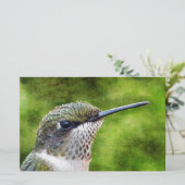 Papeterie Little Hummer (Debout devant)