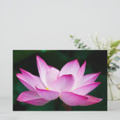 Papeterie Lotus rose (Debout devant)