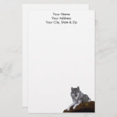 Papeterie Loup (Devant / Derrière)