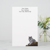 Papeterie Loup (Debout devant)