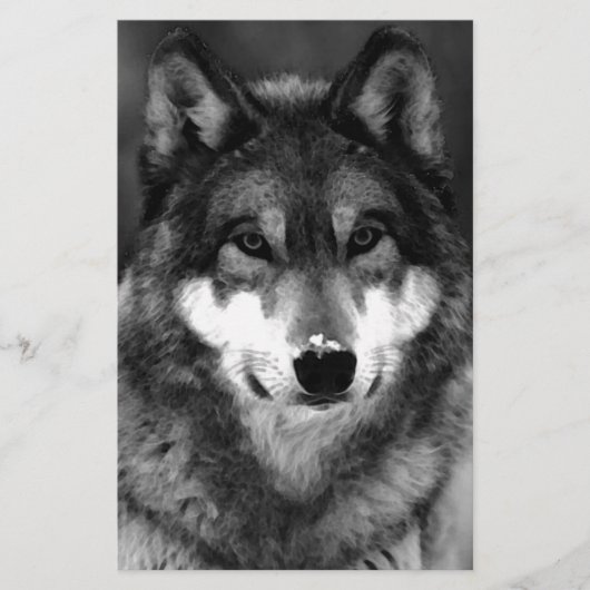 Papeterie Loup (Devant)