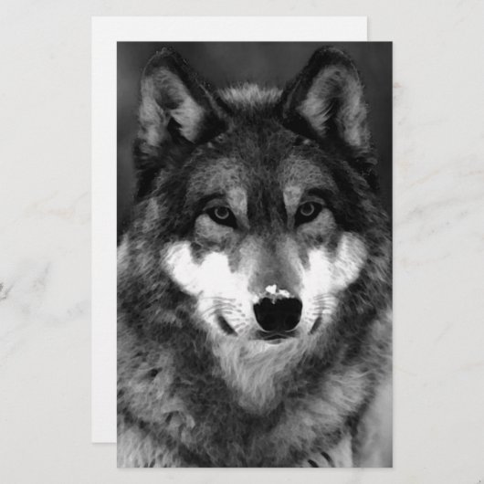 Papeterie Loup (Devant / Derrière)