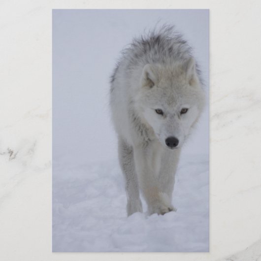 Papeterie Loup arctique (Devant)