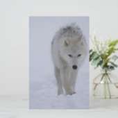 Papeterie Loup arctique (Debout devant)