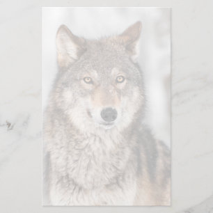 Papeterie Loup gris (Canis lupus) avec un dos d'oreille