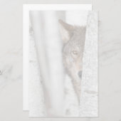 Papeterie Loup gris (lupus de Canis) derrière l'arbre (Devant / Derrière)