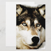 Papeterie Loup motivationnel unique (Devant / Derrière)
