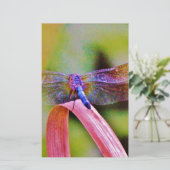 Papeterie Lumineux Arc-en-ciel rose (Debout devant)