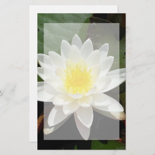 Papeterie Lys d'eau (Devant / Derrière)