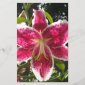 Papeterie Lys roses fleurs tropicales roses rose (Devant)