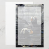 Papeterie Macareux huppés d'Alaska (Devant / Derrière)