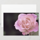 Papeterie Magnifique Rose rose (Devant / Derrière)
