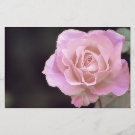 Papeterie Magnifique Rose rose (Devant)