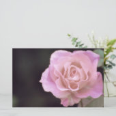 Papeterie Magnifique Rose rose (Debout devant)
