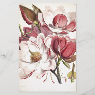 Papeterie Magnolia magnifique