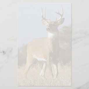 Papeterie Mâle de Whitetail d'automne