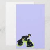 Papeterie Mallard Ducklings (Devant / Derrière)