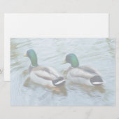 Papeterie Mallard Ducks (Devant / Derrière)