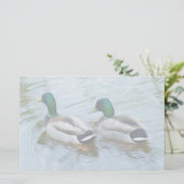 Papeterie Mallard Ducks (Debout devant)