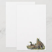 Papeterie Mallard, John Audubon (Devant / Derrière)