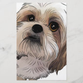 Papeterie Malshi CMA-shi (Devant)