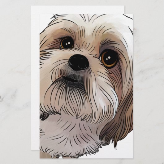 Papeterie Malshi CMA-shi (Devant / Derrière)