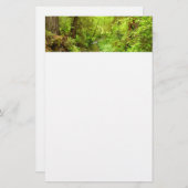 Papeterie Man Creek II perdu dans le parc national Redwood (Devant / Derrière)