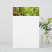 Papeterie Man Creek II perdu dans le parc national Redwood (Debout devant)