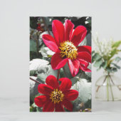 Papeterie marguerite rose chaud rouge / marguerites fleurs (Debout devant)