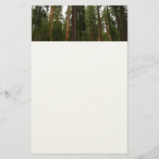 Papeterie Mariposa Grove dans le parc national de Yosemite (Devant)