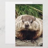 Papeterie Marmotte (Devant / Derrière)