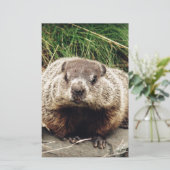 Papeterie Marmotte (Debout devant)