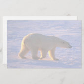 Papeterie Matin d'ours blanc (Devant / Derrière)