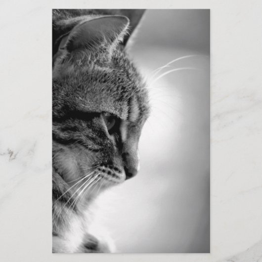 Papeterie Méditation de chats noir et blanc (Devant)