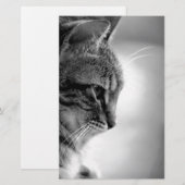 Papeterie Méditation de chats noir et blanc (Devant / Derrière)