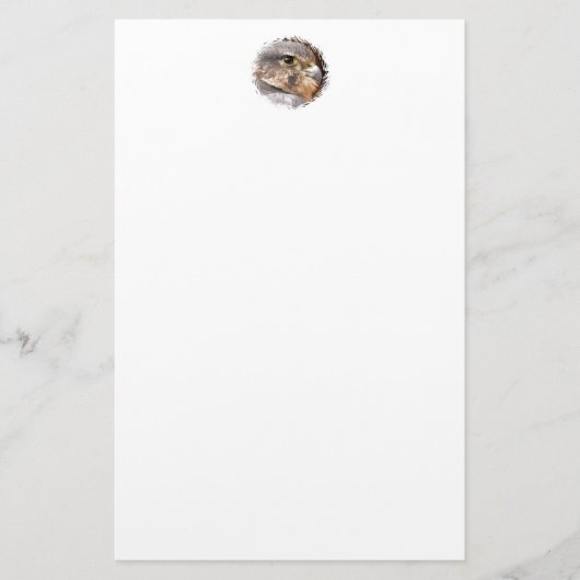 PAPETERIE MERLIN FALCON OISEAU DE PREY (Devant)