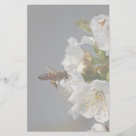 Papeterie Miel Bee (Devant)