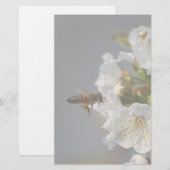 Papeterie Miel Bee (Devant / Derrière)