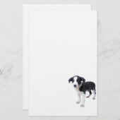 Papeterie mignonne de chiot (Devant / Derrière)