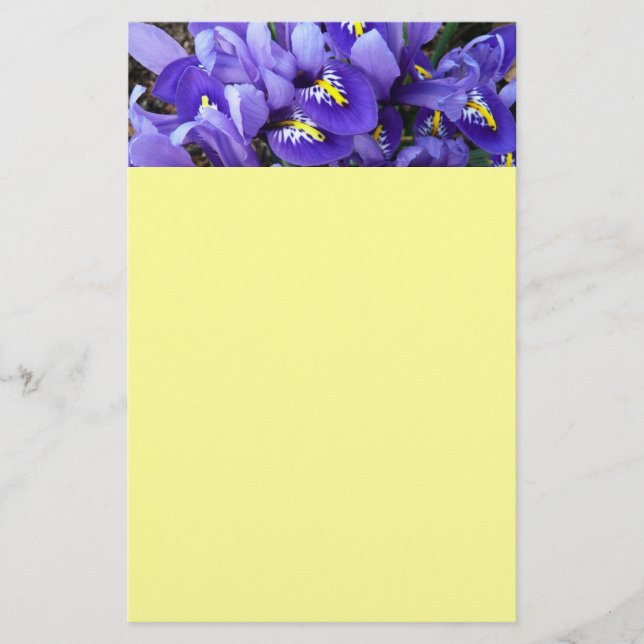 Papeterie Miniature Bleu Irises Printemps Floral (Devant)